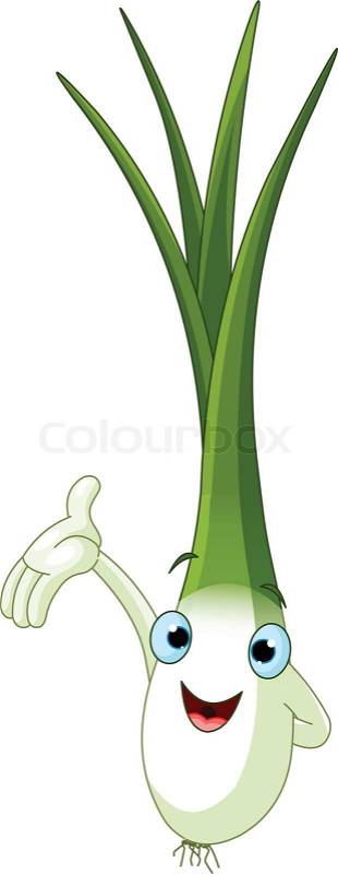 spring onion clipart - photo #16