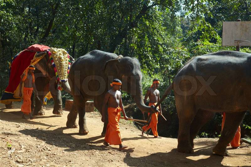 GOA, INDIA - DECEMBER 15: Animal trainers with elephants on an elephants show at 15 of December 2009 in Goa, India Elephants show is a main attraction for tourists in this region, stock photo