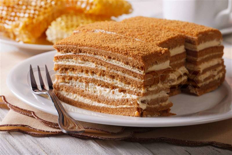 Delicious honey cake on a plate close-up on a background of honeycomb. horizontal , stock photo