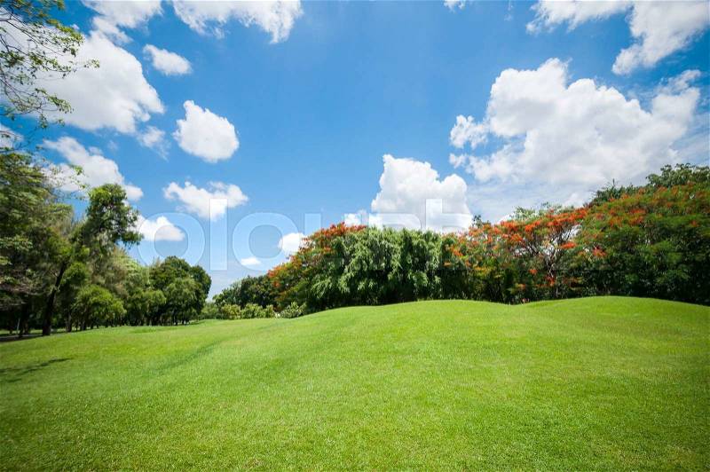 Green summer park garden with blue sky, stock photo