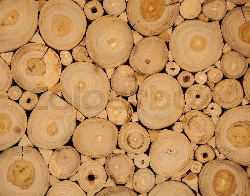 Tree wood brown circle stumps as background, stock photo