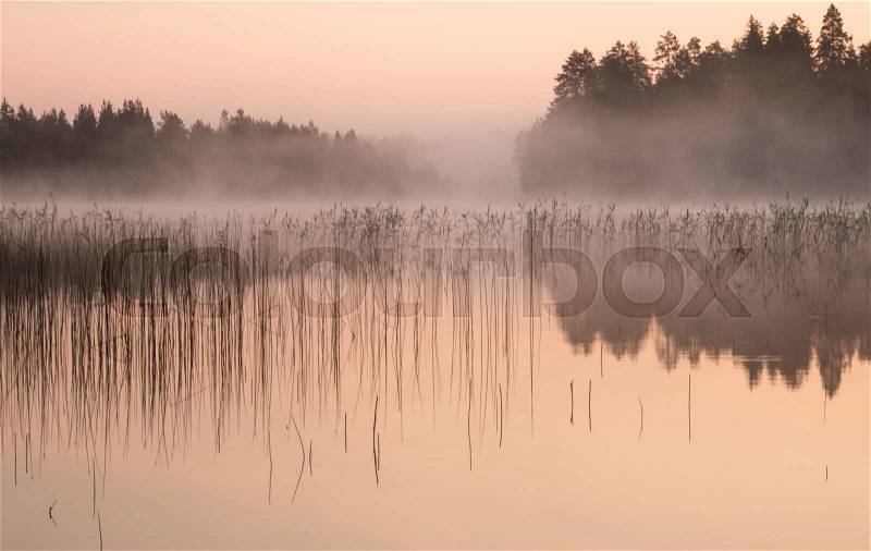 Misty dawn at a lake, red colors, stock photo