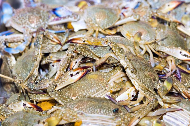 Fresh crabs on ice exposition at the seafood market In Thailand. Display of raw flower crab catch of the day, stock photo