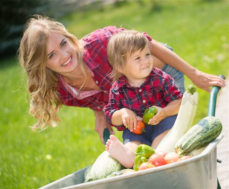 Mom and son with vegetables harvest in garden. little boy sitting in the wheelbarrow, stock photo