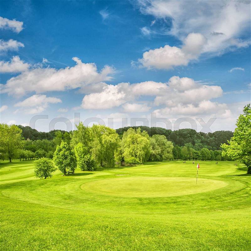 Golf course. Spring field with green grass, trees and cloudy blue sky, stock photo