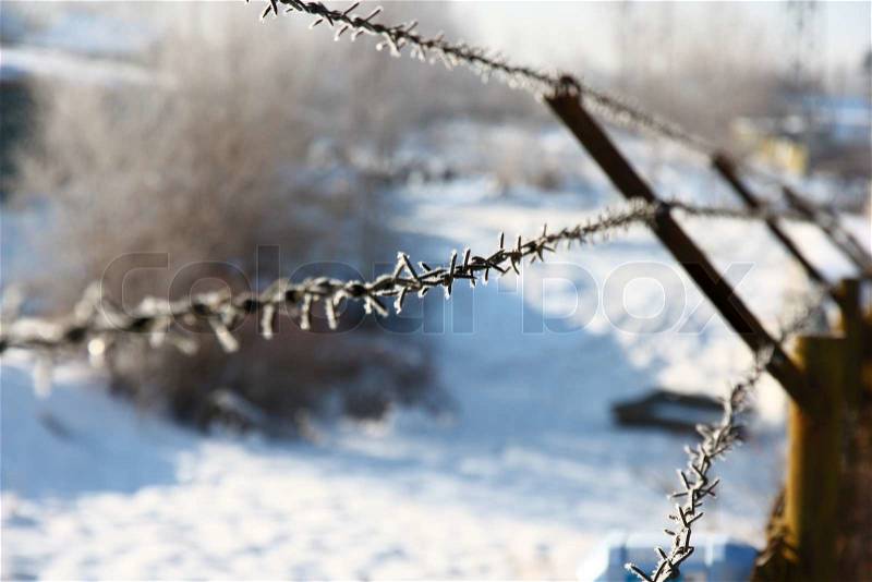 Metal barbed wire close up against the sky, stock photo