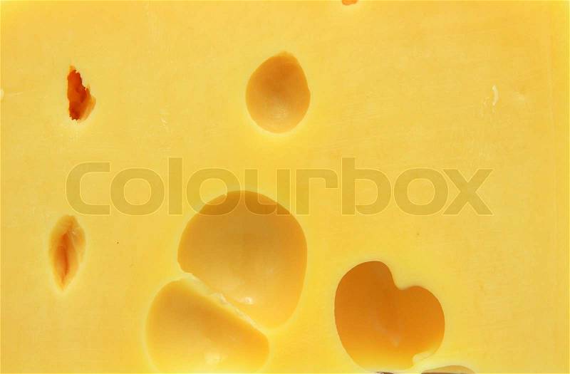 Piece of cheese isolated on a white background, stock photo