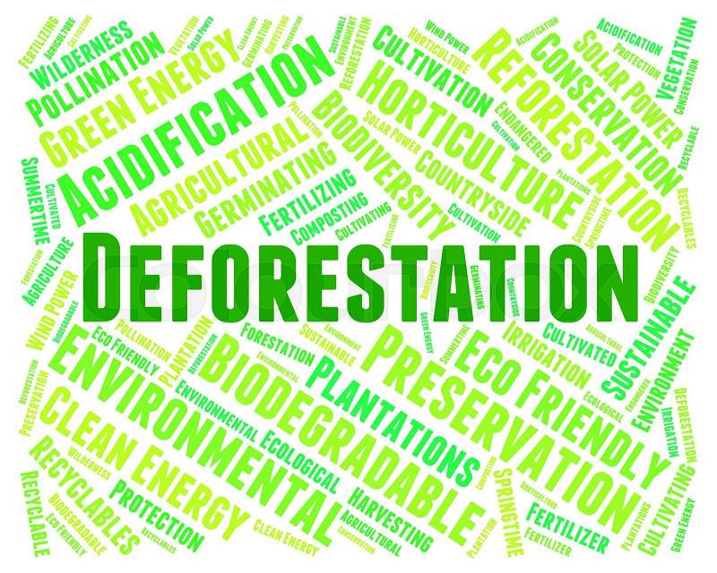 Deforestation Word Indicating Cut Down And Woodland, stock photo