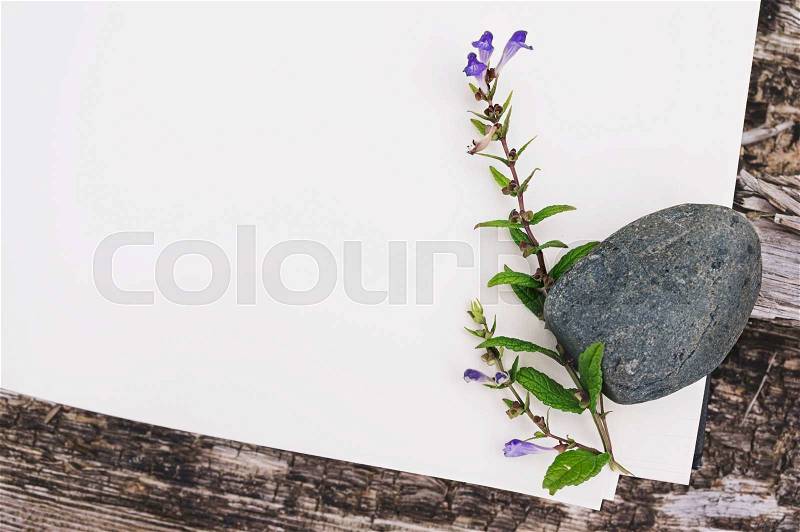 Sketch book, country flowers and stones on weathered wood, mock up, stock photo