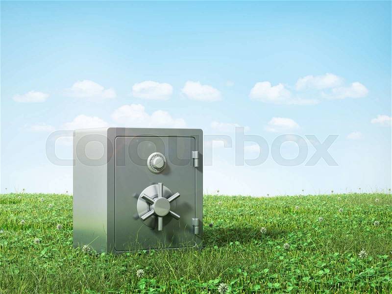 Metal safe on the grass. Safety concept, stock photo