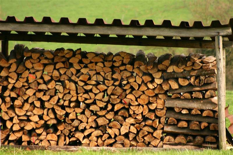 Wood stack in a danish forest, stock photo