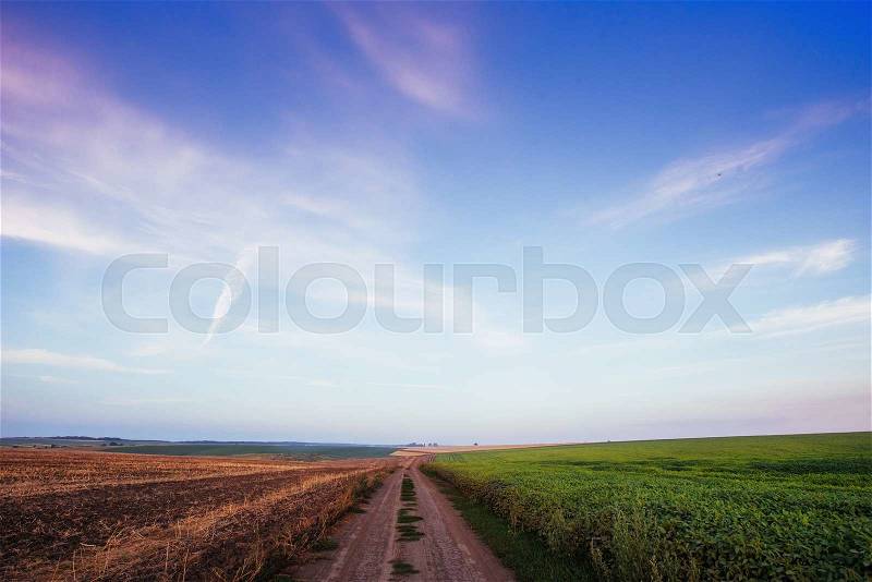 Village road in wheat field under cloudy sky, stock photo