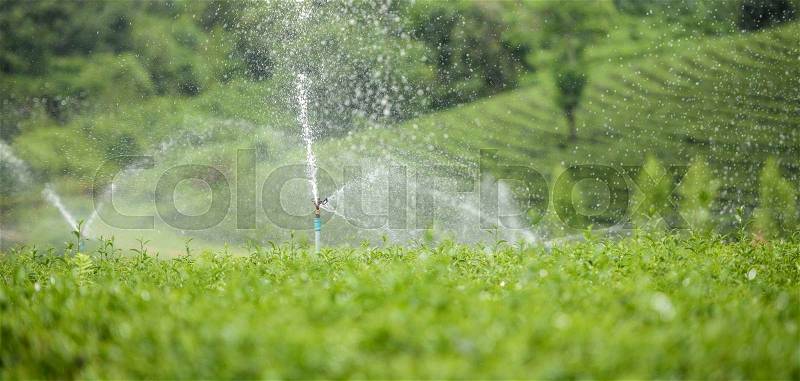 Sprinkler system in a farm field, stock photo