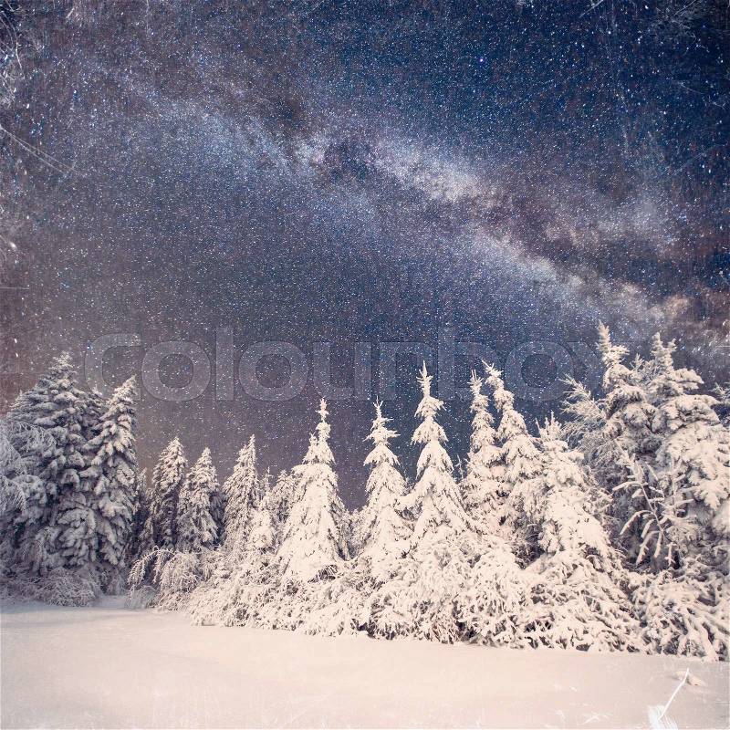 Magic tree in starry winter night. Vintage effect, stock photo