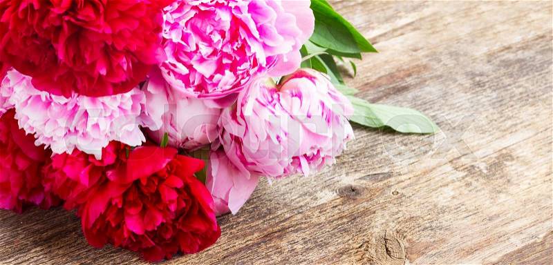 Bunch of red and pink peonies on wooden background, stock photo
