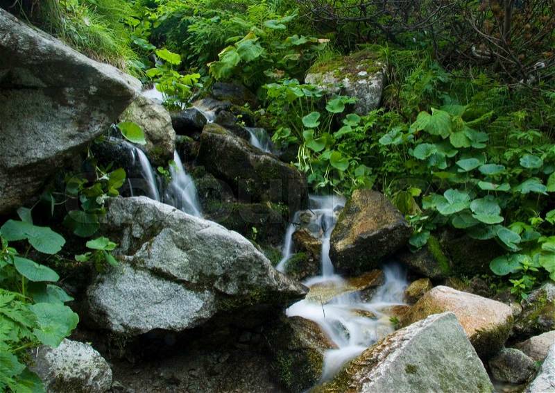 Stream, pure nature beautiful landscape, stock photo