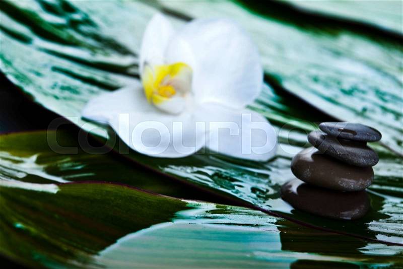 Balance, magical ambient atmosphere theme, stock photo