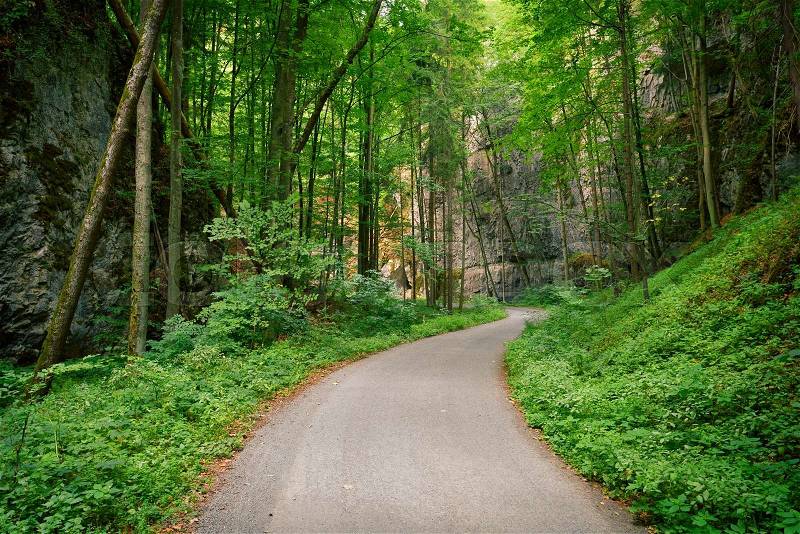 Abandoned asphalt road in a deep green forest with rocks, stock photo