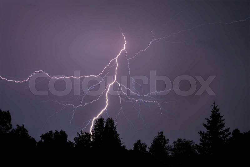 A dramatic bolt of branching lightning silhouettes foreground trees, stock photo