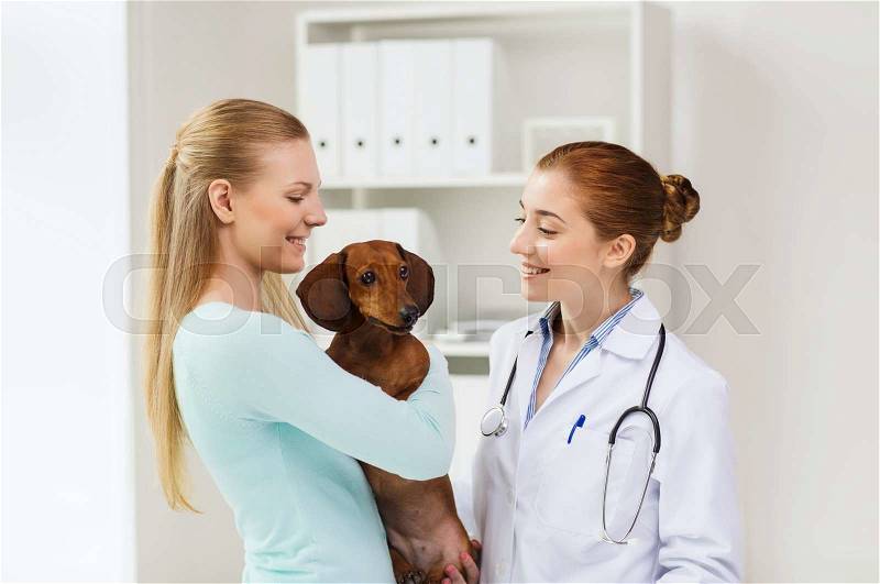 Medicine, pet care and people concept - happy woman with dachshund dog and veterinarian doctor at vet clinic, stock photo
