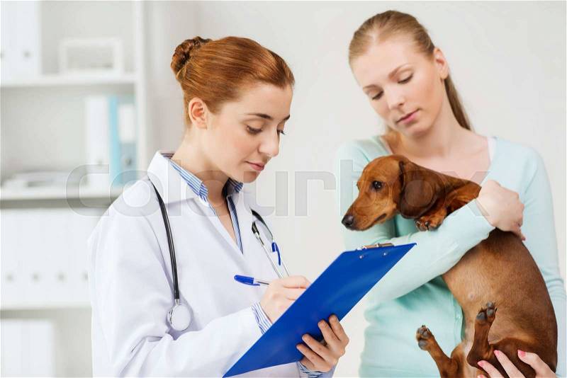 Medicine, pet care and people concept - woman holding dachshund dog and veterinarian doctor with clipboard taking notes at vet clinic, stock photo