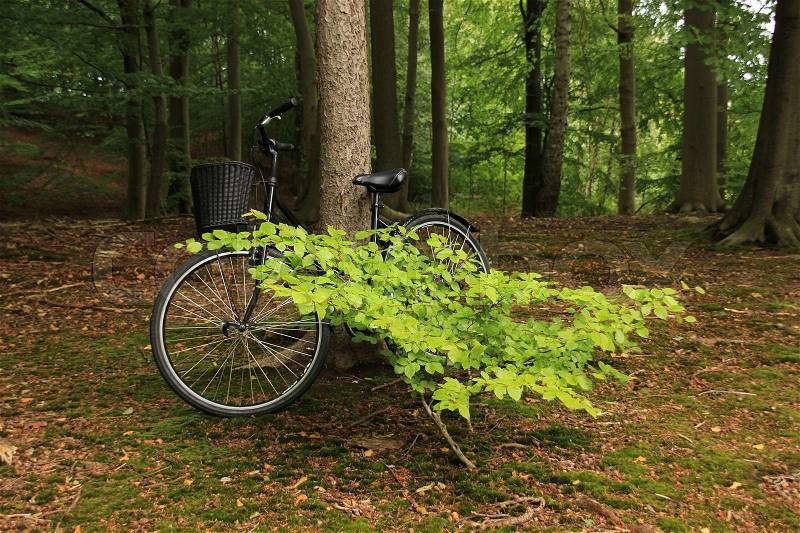 The ladies bike with a basket is hidden behind a small bush in the park of Vedbaek in Denmark in the summer, stock photo