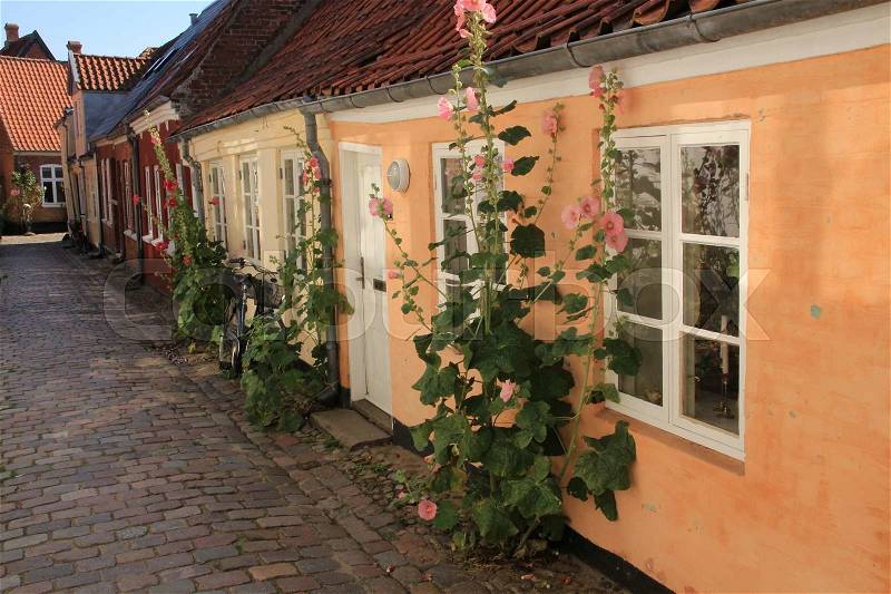 One of the famous streets with the beautiful small houses and blooming hollyhock in the village Ribe in Denmark in the summer, stock photo