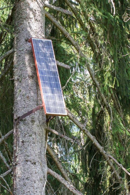 Solar panel attached to a large tree, Switzerland, stock photo