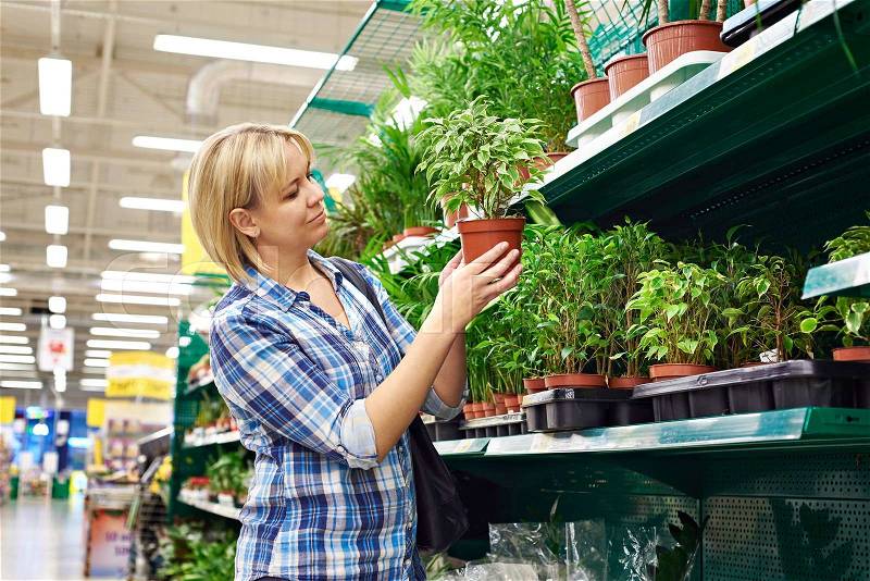 Woman chooses a house plants in the store, stock photo