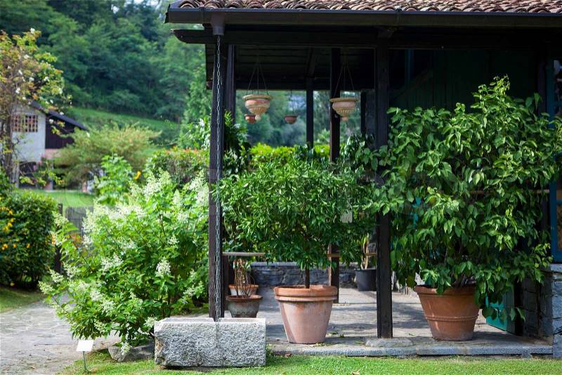 Green summer backyard with terrace and plants in Italy, stock photo