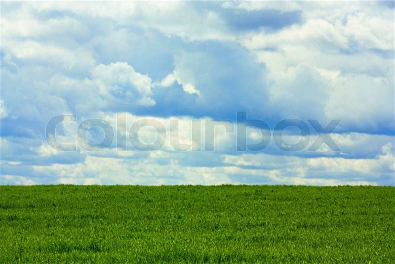 Green field under blue cloudy sky, stock photo