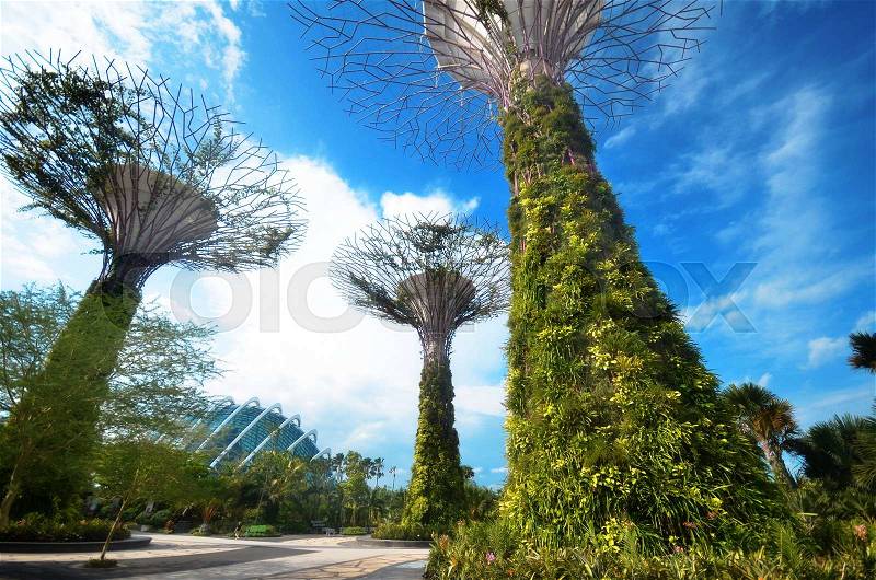 Super-tree in Garden by the bay at Singapore, stock photo