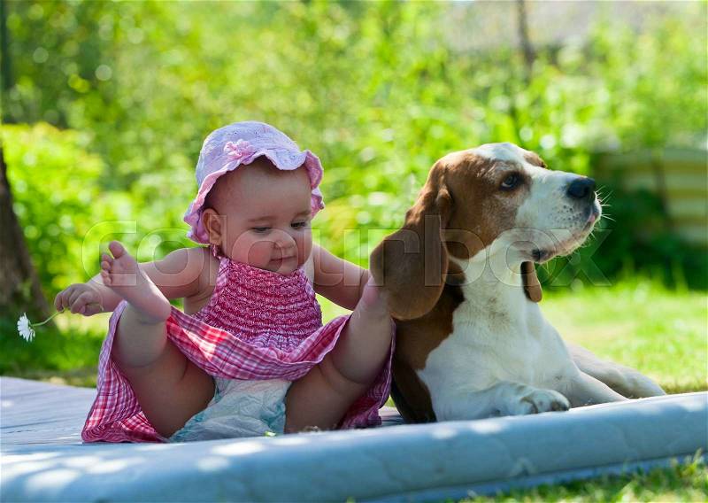 Little girl plays with a dog in the garden, stock photo