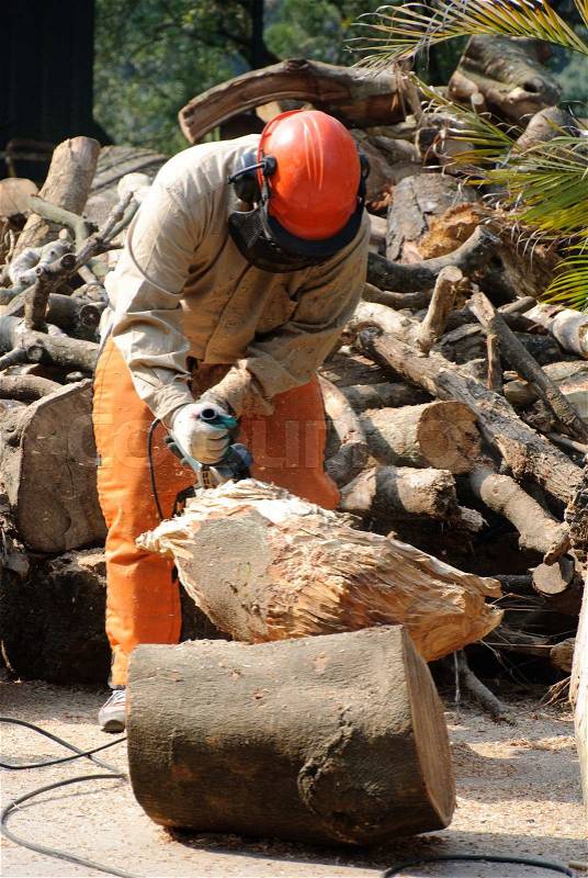 Professional lumberjack at work in the forest, stock photo