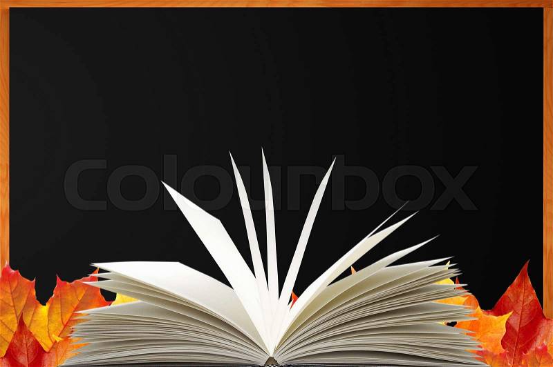 Blank blackboard, openned book and autumn maple leaves , stock photo