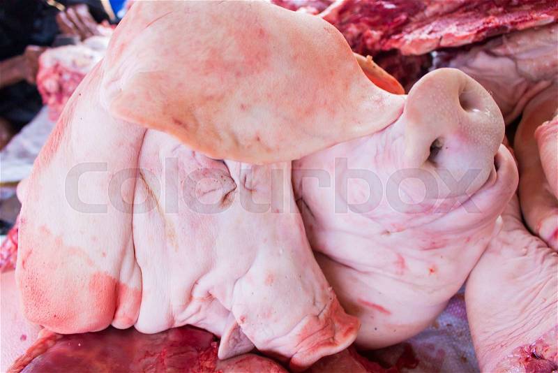 Fresh raw head pig at slaughterhouse in thailand, stock photo