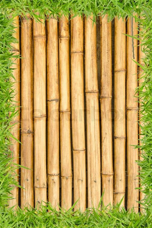 Bamboo fence and grass as background, stock photo
