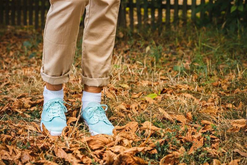 Female feet in beige pants and a turquoise sneakers are on the fallen leaves. Autumn Walk, stock photo