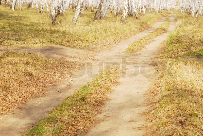 Road in spring forest, stock photo