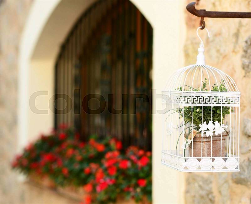 Decorative white cage for birds with flowers inside, stock photo