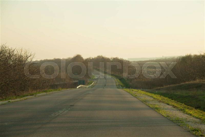Asphalt road through the autumn field and forest, stock photo