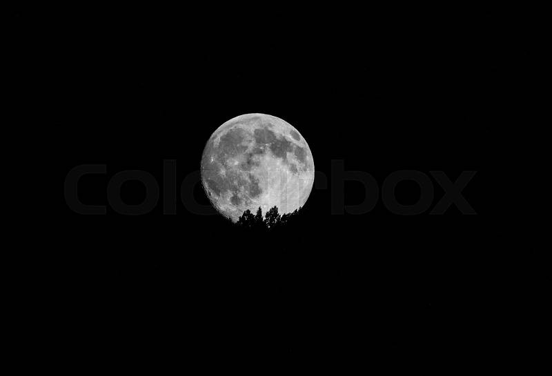 Full Moon over forest, stock photo