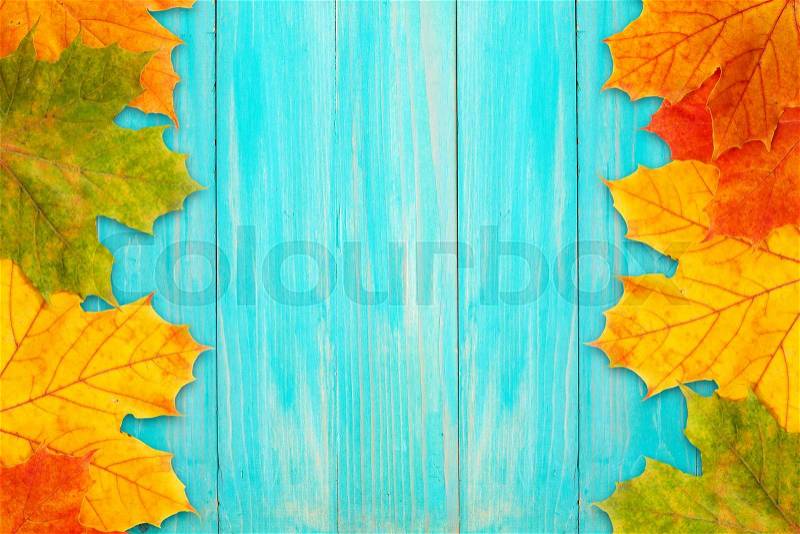 Autumn frame made of fallen leaves and a blue board, stock photo