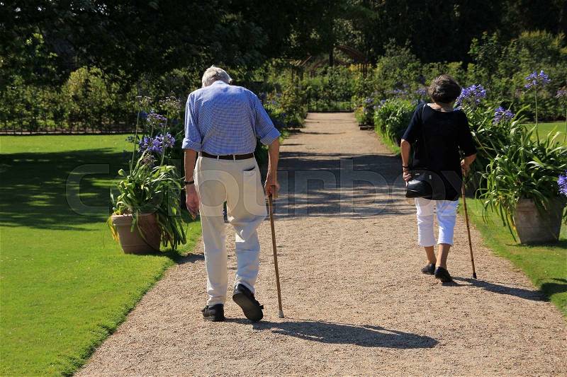 Couple, retired man and wife with walking stick, are walking in one of the gardens from the park Egeskov at the island Funen in Denmark in the summer, stock photo