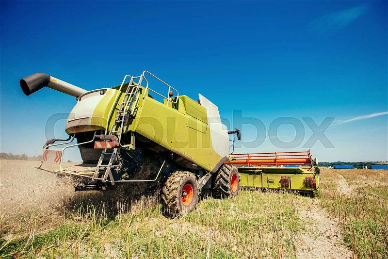 Working Harvesting Combine in the Field of Wheat, stock photo