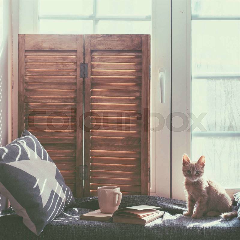 Warm and cozy window seat with cushions and a opened book, light through vintage shutters, rustic style home decor, stock photo