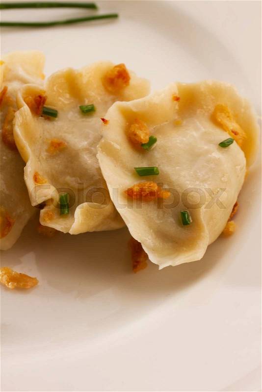 Polish pierogi dish - dumplings with meat on white plate close up, stock photo