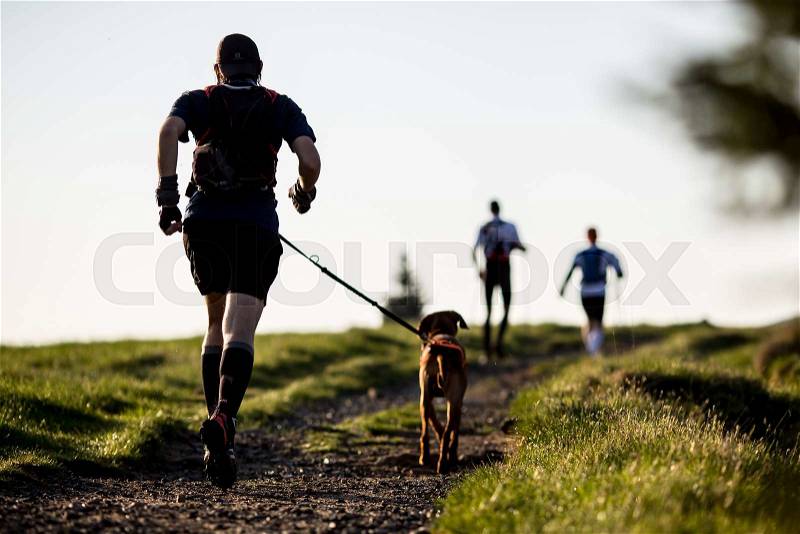Man with a dog on a morning run, stock photo