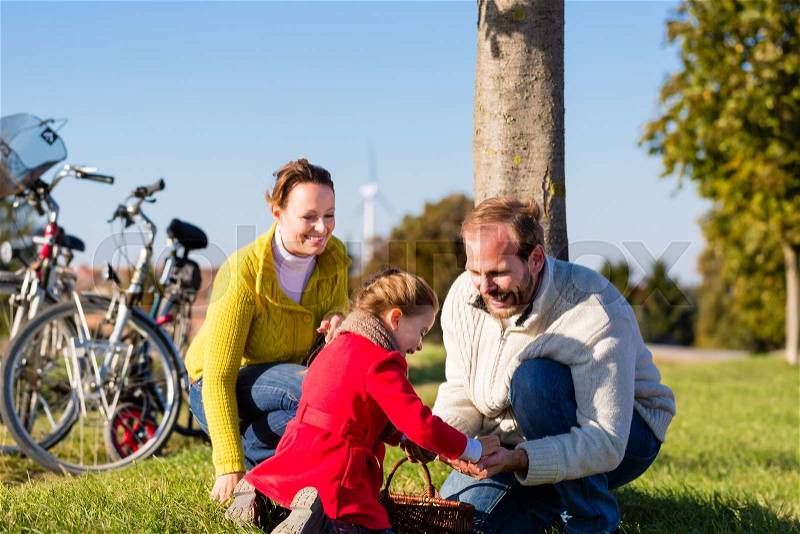 Family with mother, father and daughter having family trip on bicycle or cycle in park or country collecting chestnuts, stock photo