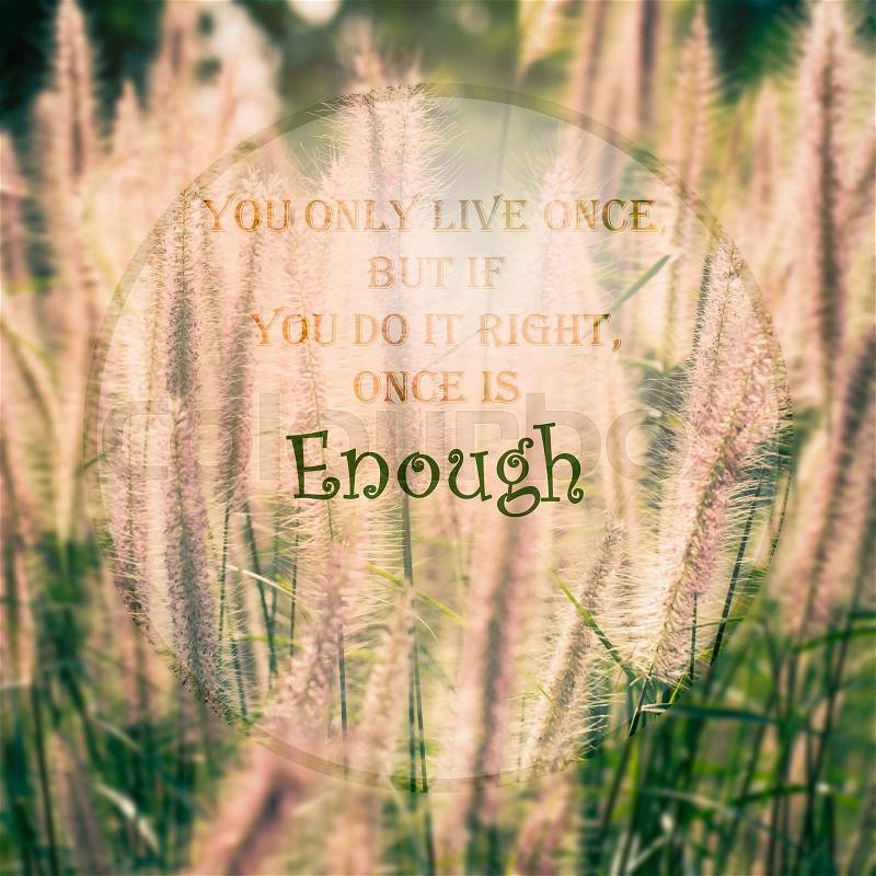 Meaningful quote on blurred meadow background, you only live once, but if you do the right, once is enough, stock photo